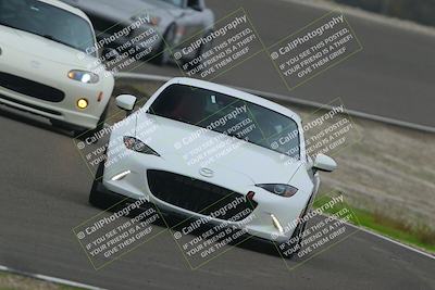 media/Dec-19-2025-Lucky Dog Racing (Fri) [[3b7b1b5fc8]]/Intermediate Low/Session 3 Turn 2 Speed Pan/